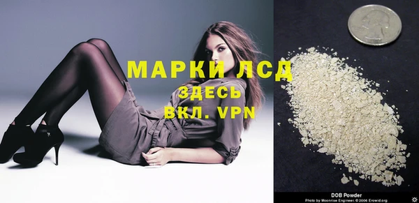 прущие грибы Костерёво
