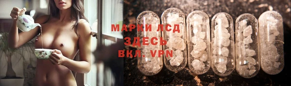 прущие грибы Костерёво