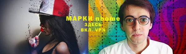 прущие грибы Костерёво