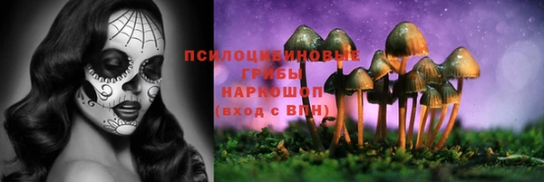 прущие крисы Корсаков