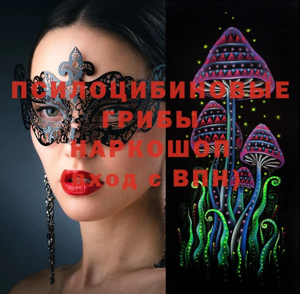дурь Коряжма
