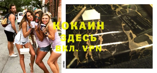 прущие грибы Костерёво