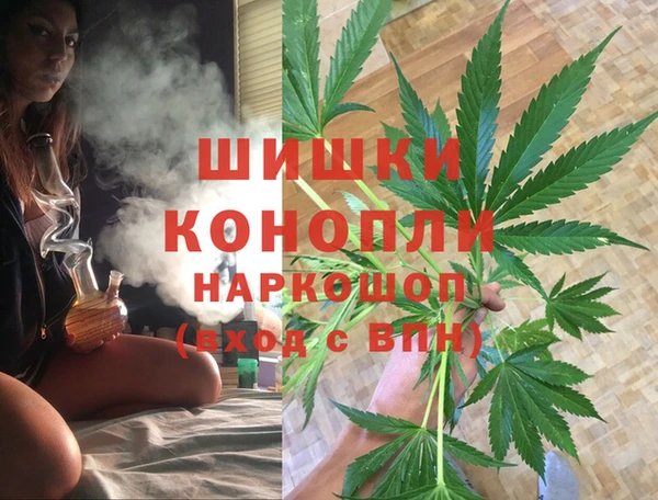 прущие грибы Костерёво