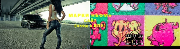 прущие грибы Костерёво